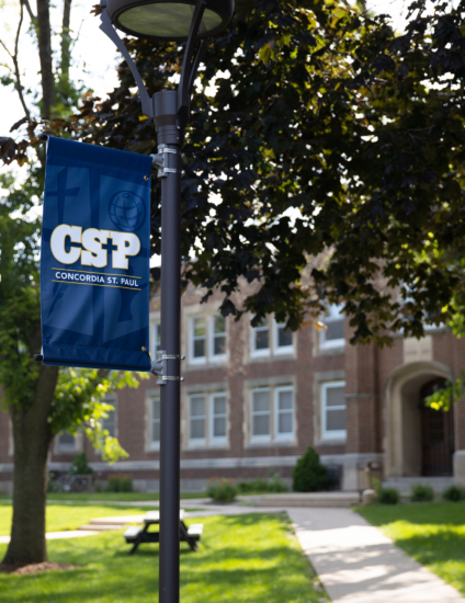 CSP Banner on Lightpost
