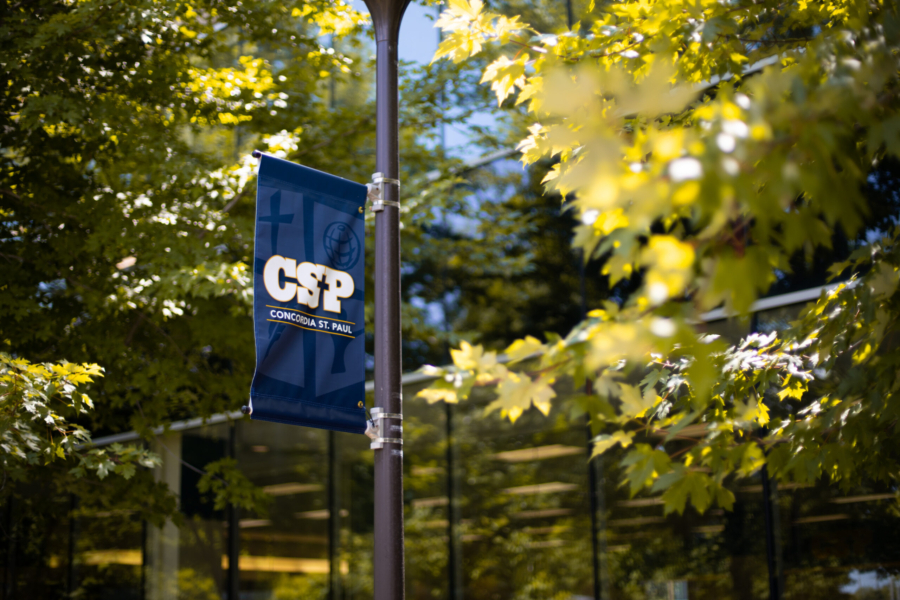 CSP Banner on light post
