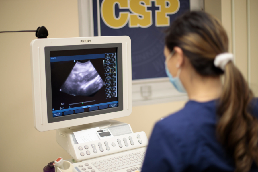 CSP nursing Student Looking at ultrasound