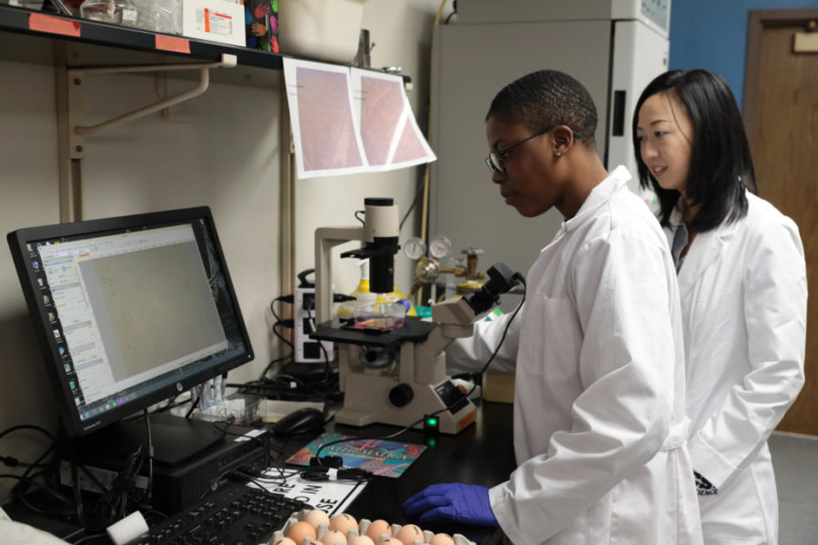 Student and biology professor in lab