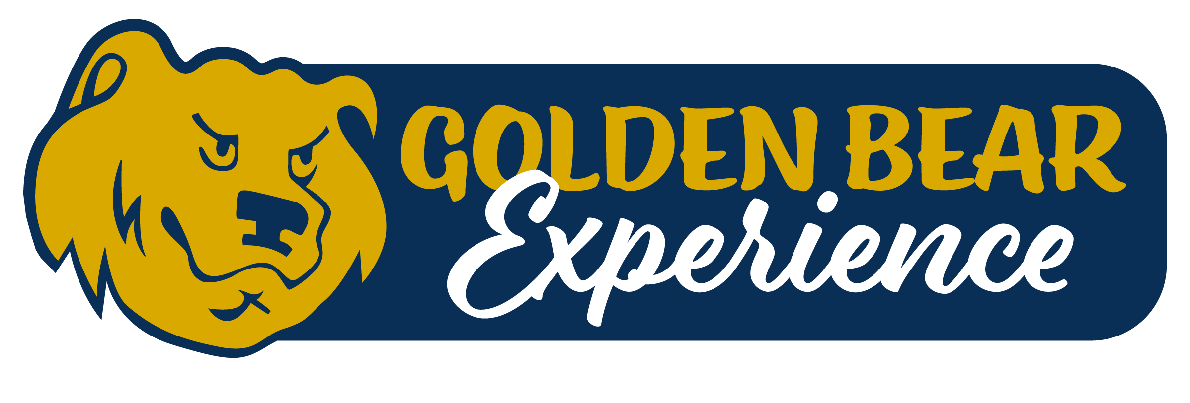 Golden Bear Experience Concordia St. Paul