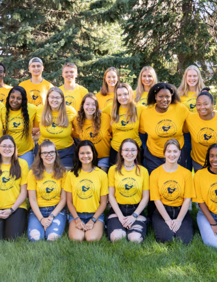 Cropped image of Comets Crew wearing yellow t-shirts. Orientation portrait