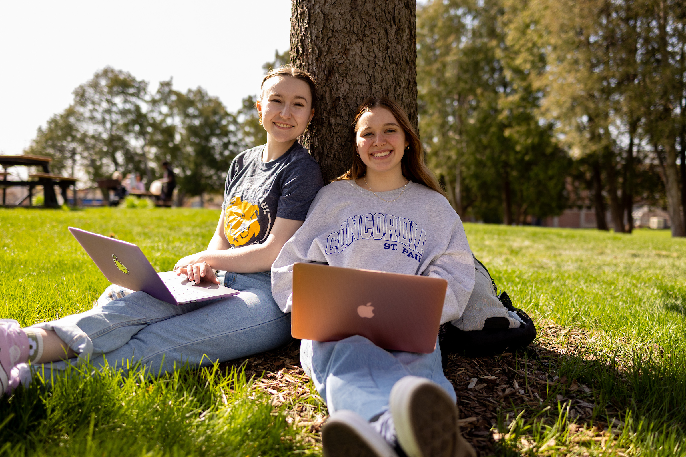 Two students sitting under a tree using laptops outside.