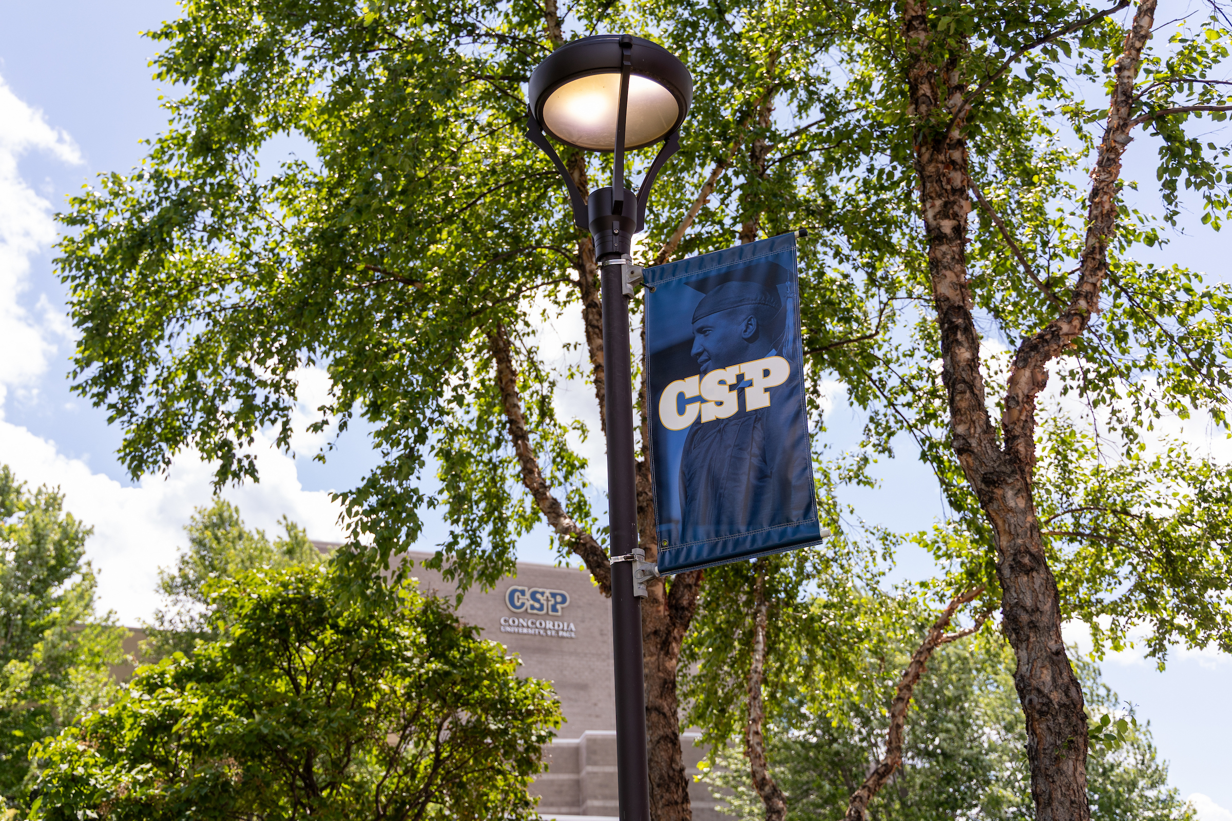 Blue CSP flag on a light pole in front of green trees in summer.