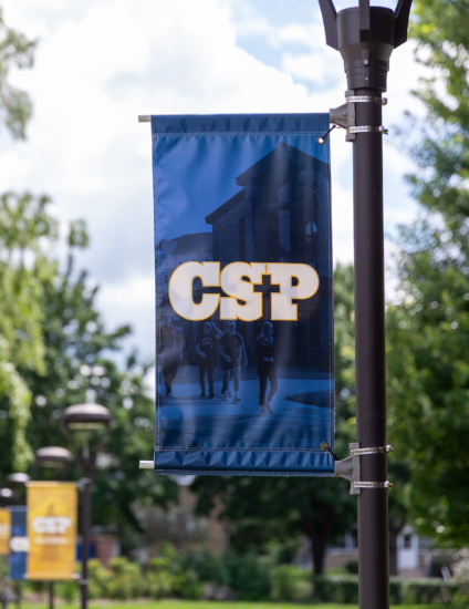 Blue CSP banner on a light pole in summer