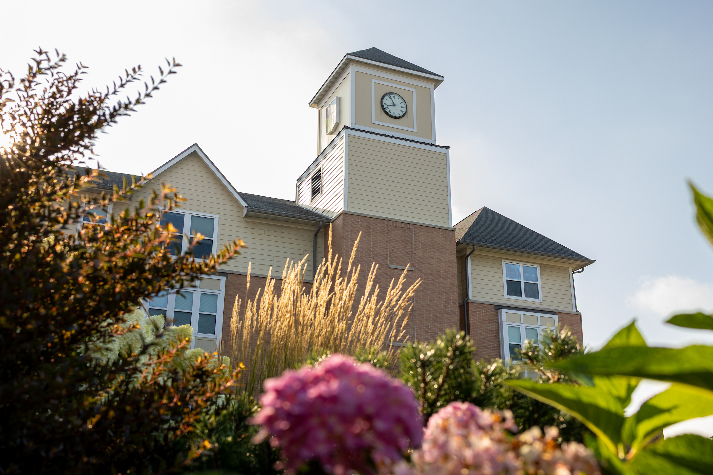 Purple flowers in front of CSP's Holst Hall clock tower in summer.