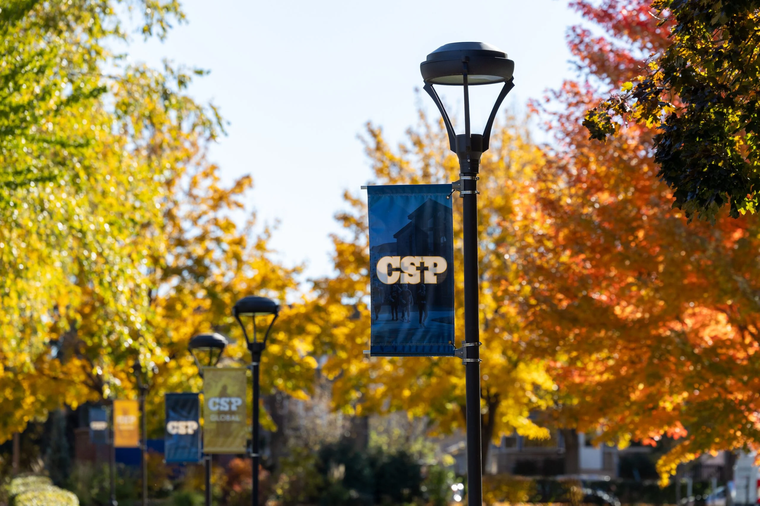 CSP Banner in front of yellow and orange trees.