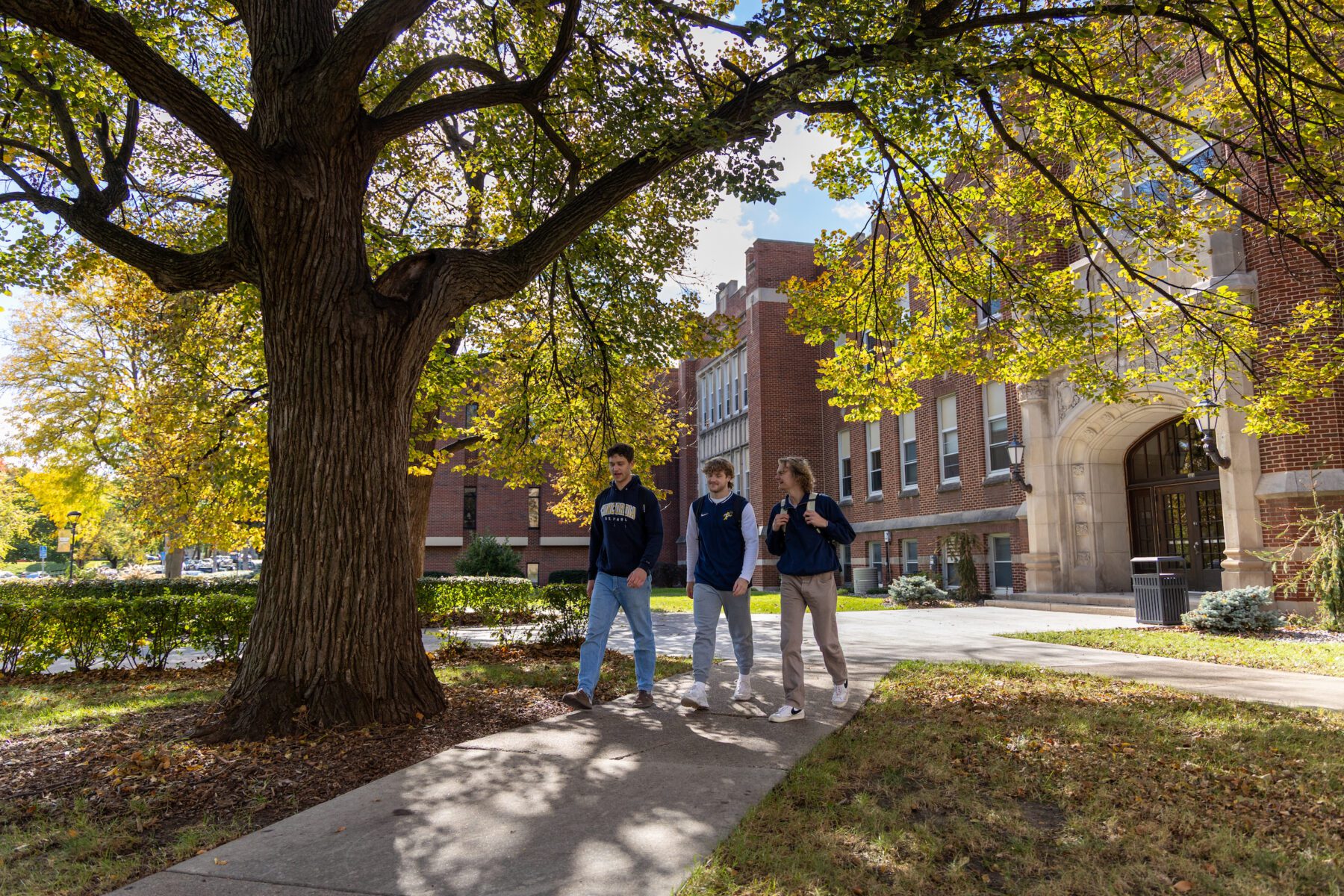 Group of three college students walking outside at a college campus under a large tree.